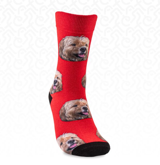 Custom Dog Socks